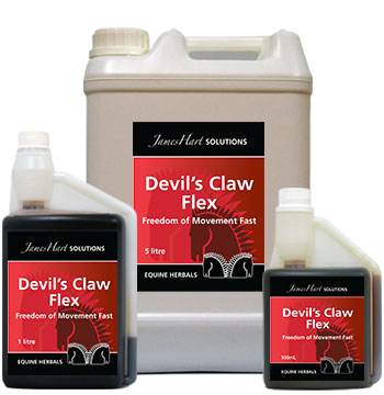 http://www.equineherbals.com/uploads/images/products/devils-claw-flex.jpg